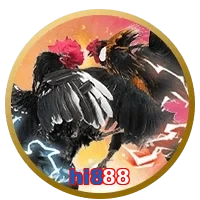 hi888